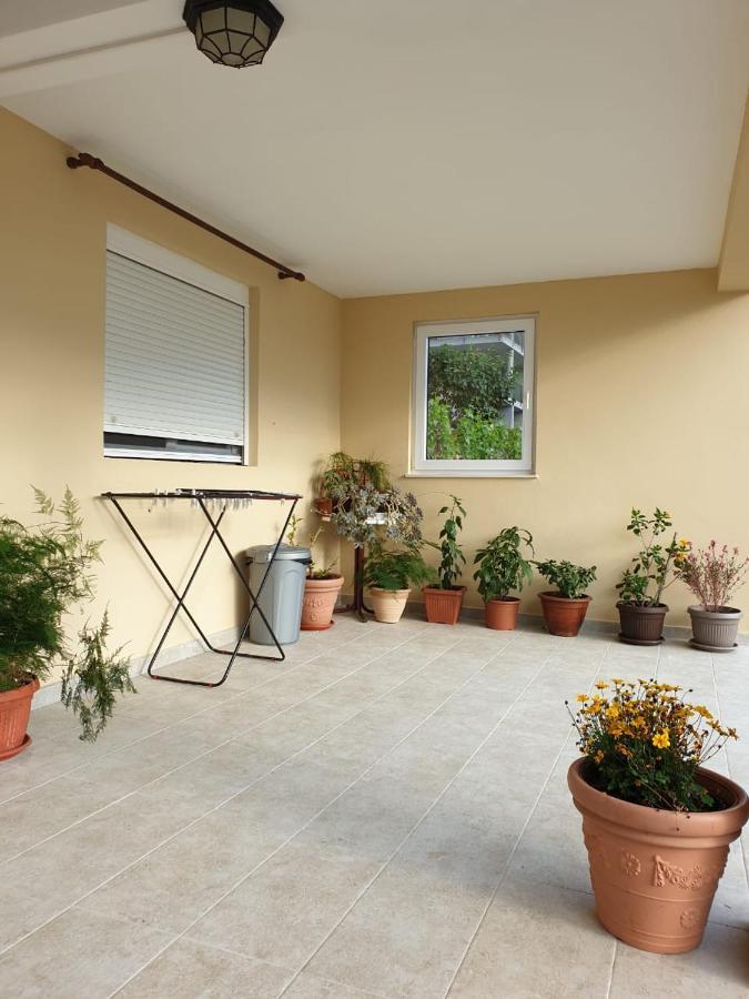 Apartment Jelena كوتور المظهر الخارجي الصورة